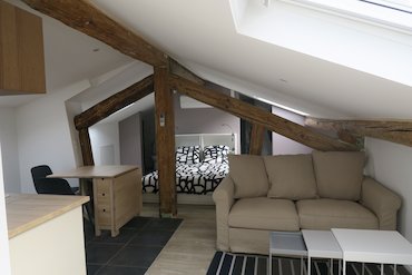 A11 PETIT LOFT SOUS COMBLES - Saint-Etienne