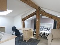 A11 PETIT LOFT SOUS COMBLES - Saint-Etienne
